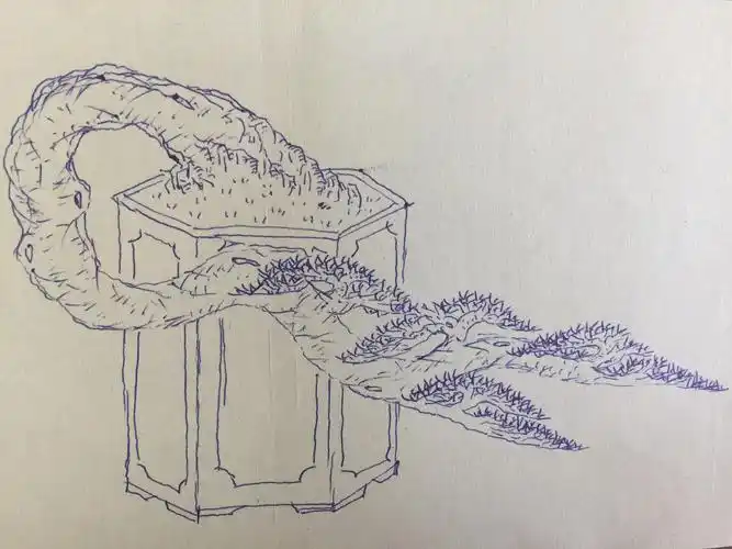 我的手绘盆景图