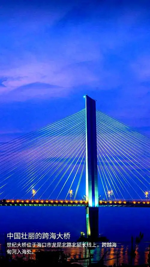 中国四座美丽的跨海大桥
