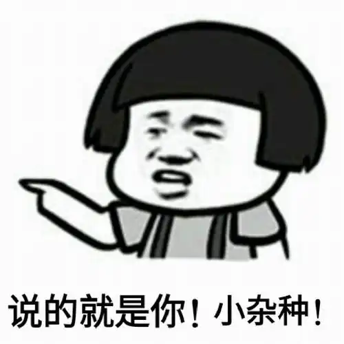 说的就是你小杂种qq表情包聊天图片表情