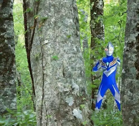 野生奥特曼到底有几只