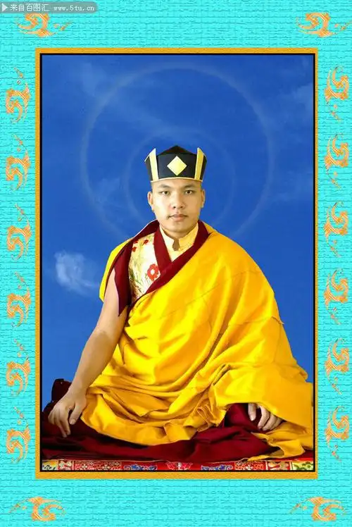 噶玛巴大宝法王加持相