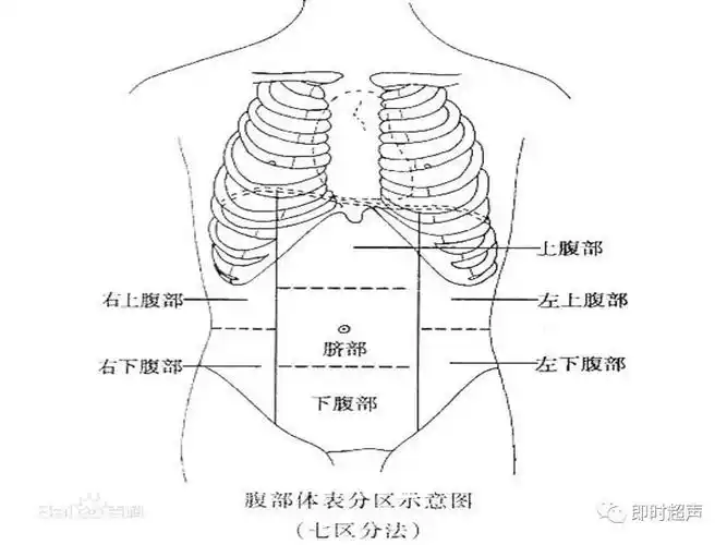 超声探头部位 可分为右肋间,右肋下,剑突下,左肋下四处扫查肝脏.