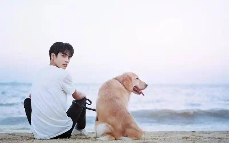 而且宋威龙的作品也是十分的高产,所以一直以来都非常的有热度,再加上