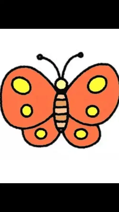 第六步 最后给蝴蝶涂上颜色,品种不同外形也不同,翅膀上的花纹也不同