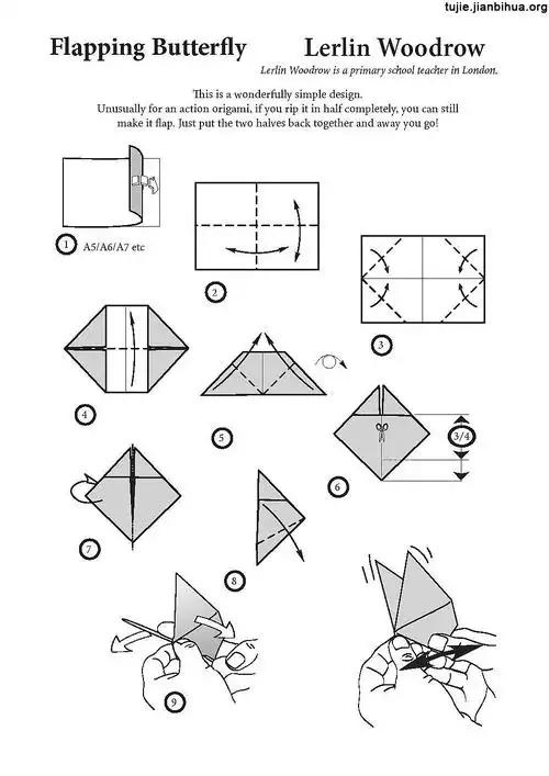 传统手工 > 蝴蝶折纸的做法图解