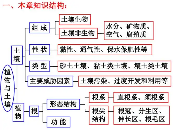 第4章植物与土壤复习课件29张ppt