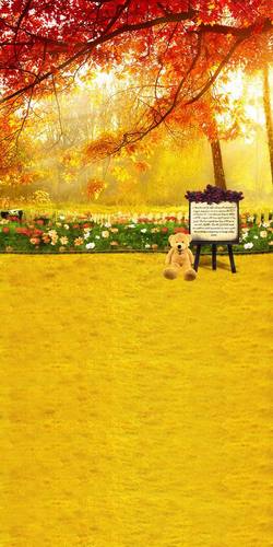 影楼主题背景 儿童摄影背景 室外风景 拍照 拍摄背景 数码背景布