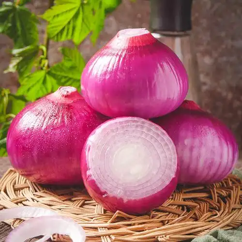 誉福园云南紫皮洋葱3斤小果100g以下鲜嫩脆香提鲜美味