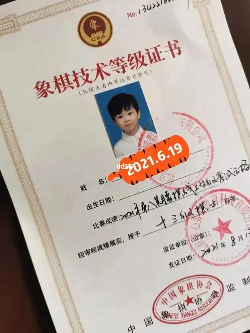 中国象棋十三级棋士