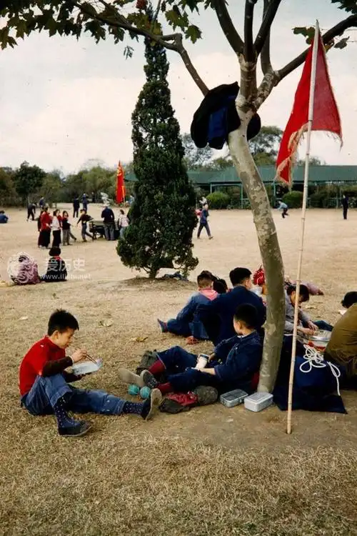 春游,对于很多上了点年纪的人来说,那是我们童年的一段美好回忆.