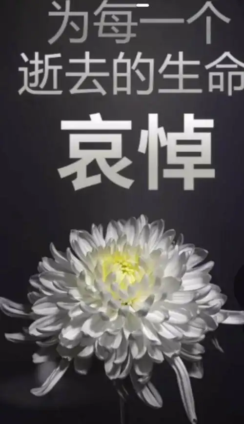 在此次抗击新冠肺炎疫情中的牺牲烈士和逝世同胞,沉痛悼念,一路走好