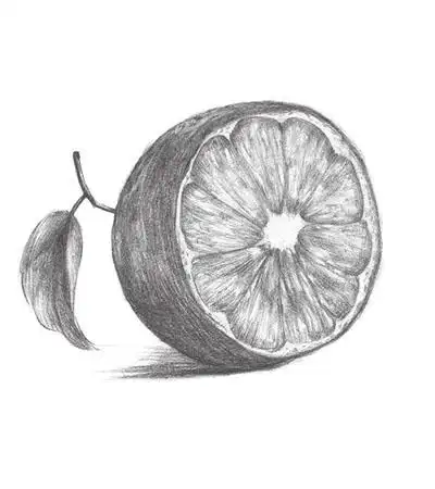 标签关键词素描橙子教程