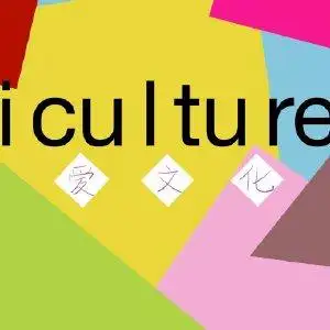 爱文化iculture