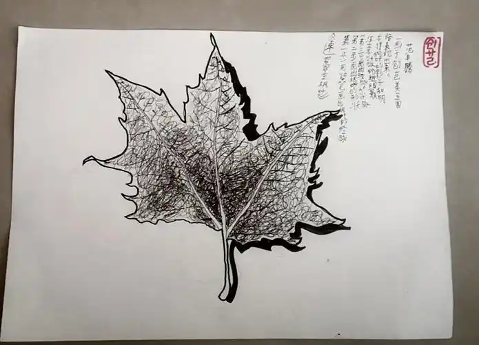 创艺美术王国《速写写生枫叶》