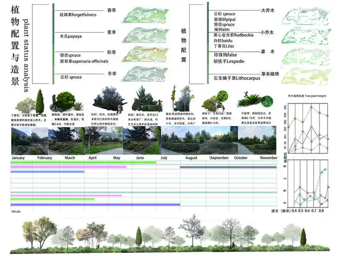 2018级环境设计专业植物配置与造景结课作业展