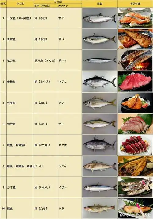 日本平时最常吃的鱼(普段よく食べる鱼)