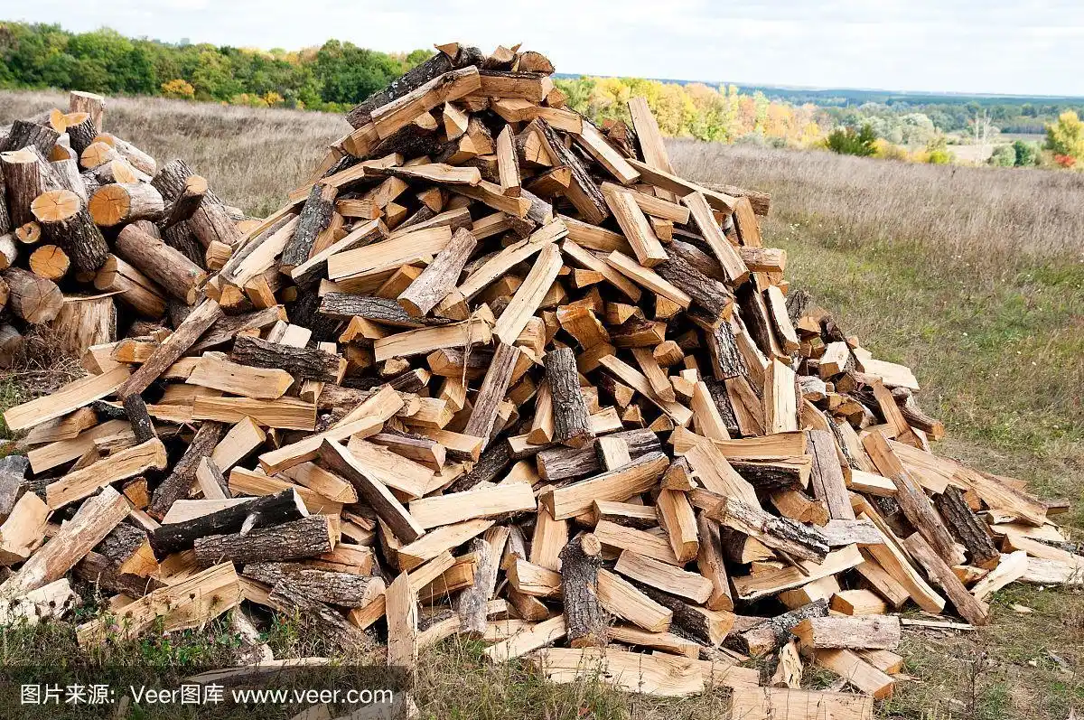 森林中的一堆柴火