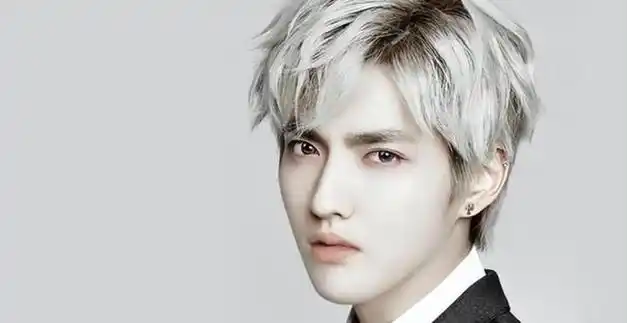 吴亦凡,原名李嘉恒,是一位中国加拿大籍的歌手,演员.