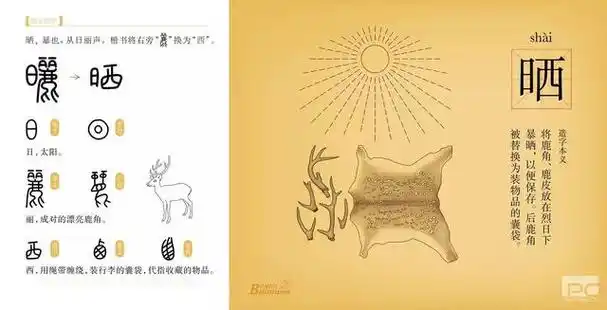 当我们了解这些部首之外▼下面是《说文解字》540部首的标目转注/假借