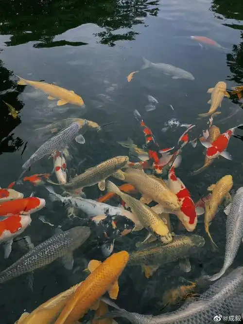 1282_1708竖版 竖屏