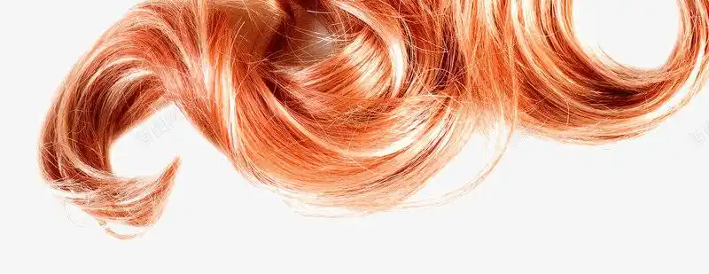 棕色女性头发发丝