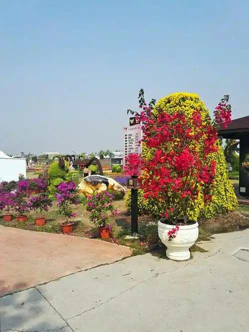 上海申迪生态园上农嘉年华