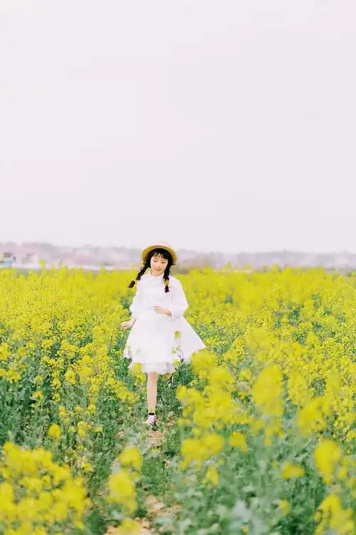 分享收藏李梦鱼和李若初的夏天标签油菜花日系小清新可爱草帽创作时间