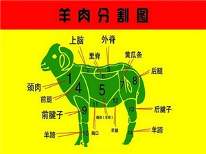 羊肉的健康做法-中国太极拳网