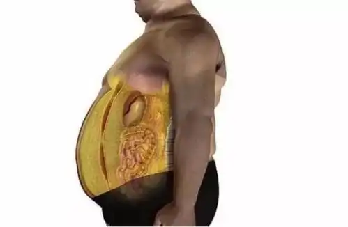 还有的连吃饭都不用动一步的,长期处于坐的姿势腹部堆积脂肪,血液无法