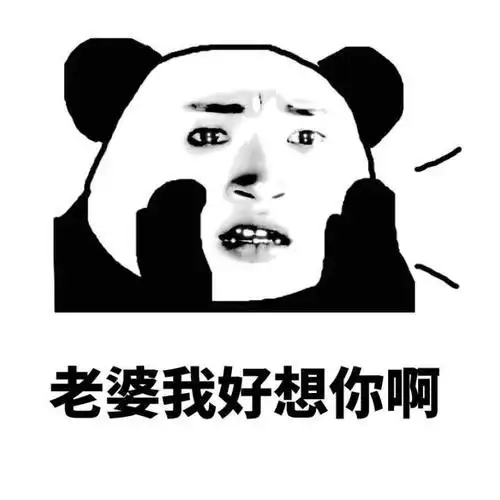老婆我错了gif熊猫人gif惊讶gif老婆我好想你啊gif