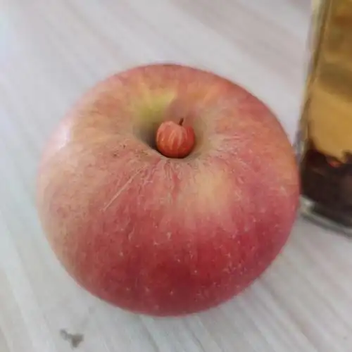 天呐世界上居然有这么小的苹果狗头