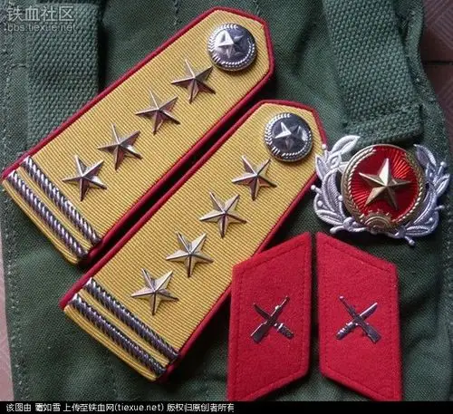 越南人民军两代军衔及兵种符号