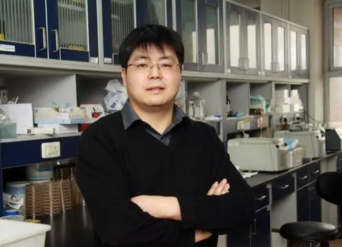 nature比凋亡更快邵峰院士团队发现细胞焦亡新机制