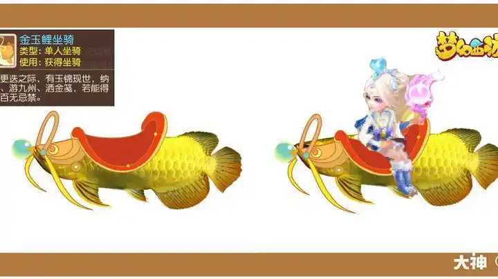 金龙鱼坐骑不对是金玉鲤