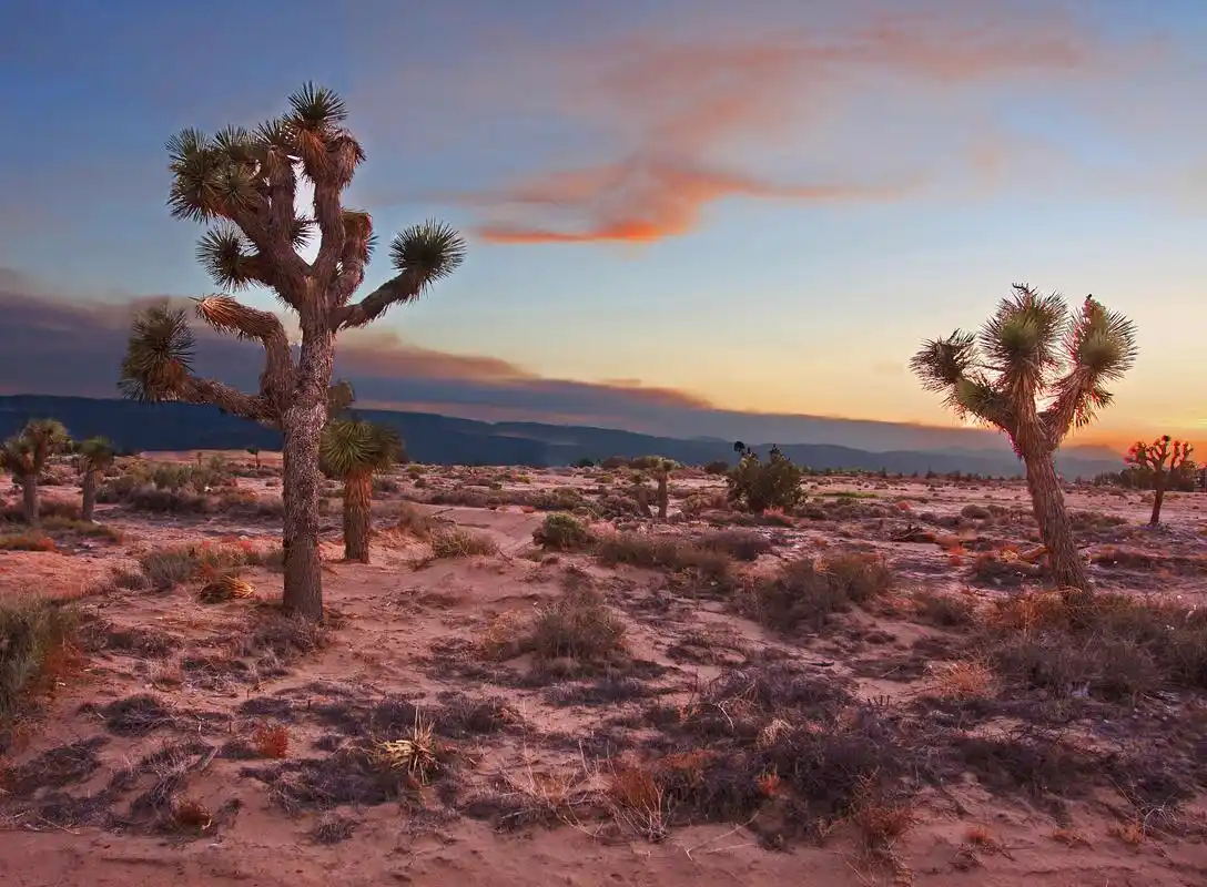 世界上十个最美的沙漠top榜