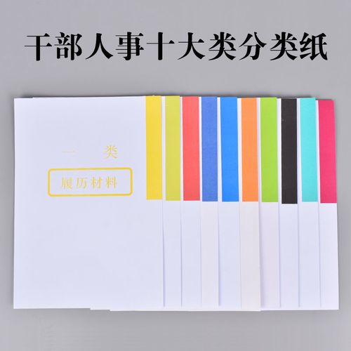 10套装a4多字干部人事档案十大类分类纸隔页纸索引纸80克分页纸
