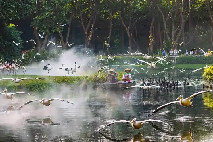 长隆飞鸟乐园之飞鸟(二)