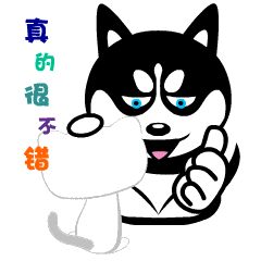 哈士奇表情包6