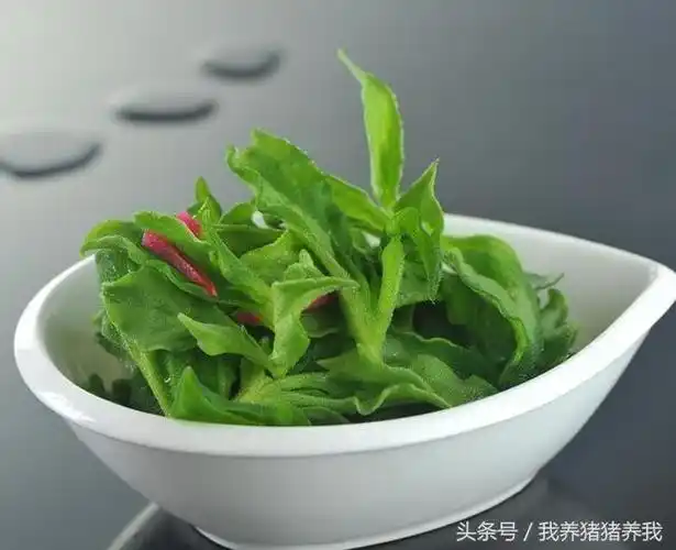 冰草的凉拌做法(冰草高冷的冰凉开胃菜)(3)