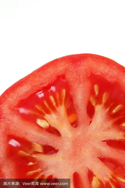 番茄截面