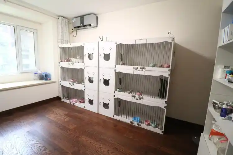 沐米宠物|猫舍环境