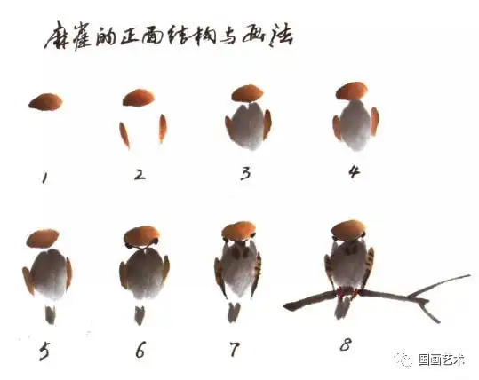 【国画教程】写意麻雀的画法,简单易上手