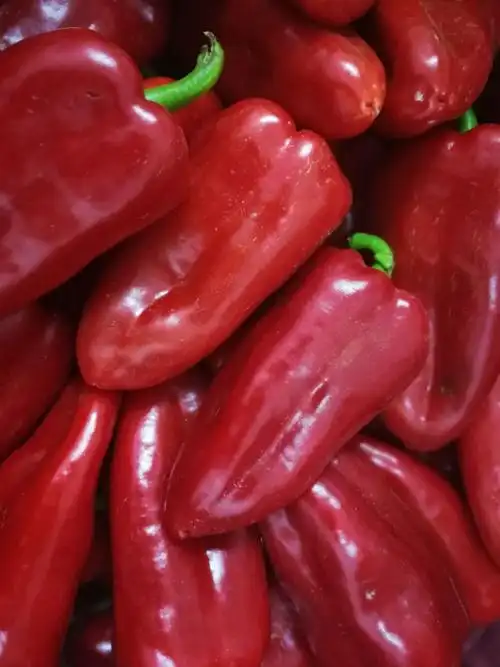 原材料(红椒)