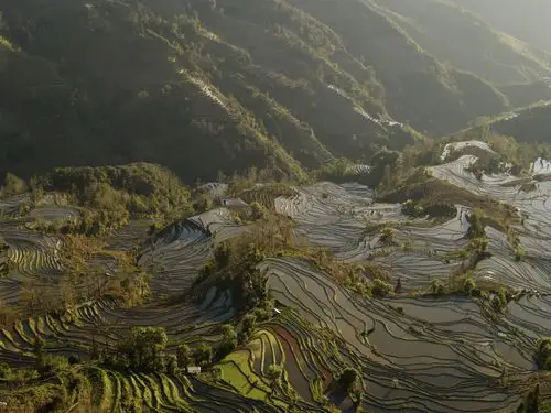 云海与梯田的记忆------元阳图片411,云南省旅游景点,风景名胜 - 蚂