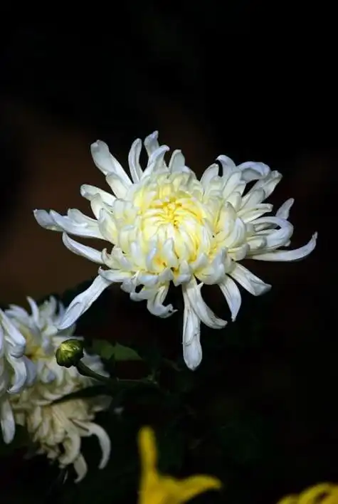 关于愿老人家一路走好句子 悼念刚去世长辈的短句