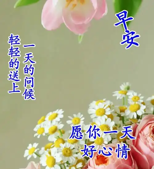2020新版早上好问候语大全2020最新早安祝福语