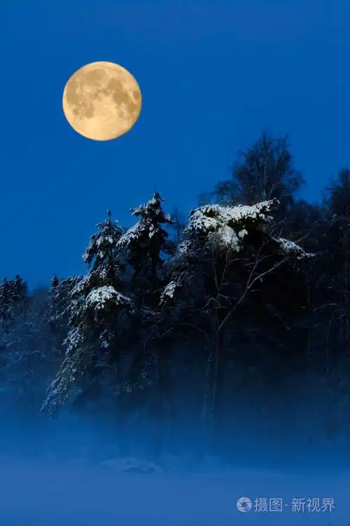 黄色的满月在雪域树木