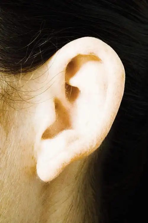 西方人,耳朵,一个人,竖图,室内,特写,白天,白色背景,正面,欧洲,欧洲人