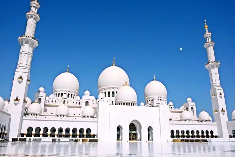 谢赫扎耶德清真寺