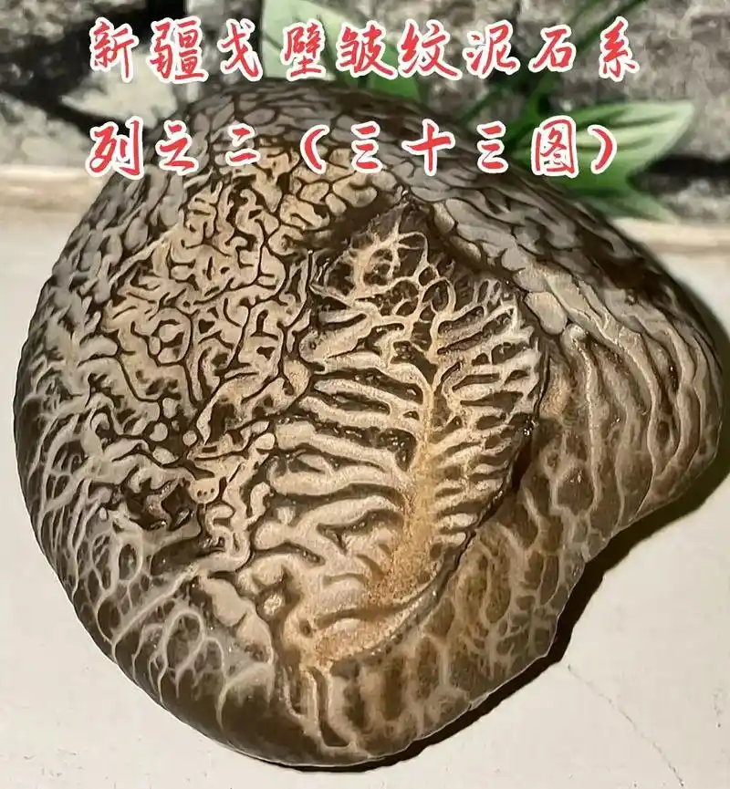 赏石艺术 #大自然的神奇密码——不同的戈壁泥石纹理展示给大 - 抖音